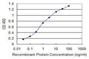 ELISA image for anti-Phosphatidylinositol-5-Phosphate 4-Kinase, Type II, gamma (PIP4K2C) (AA 310-381) antibody (ABIN529084)