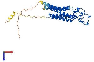 PPAP2B Protein (AA 1-312) (His tag)