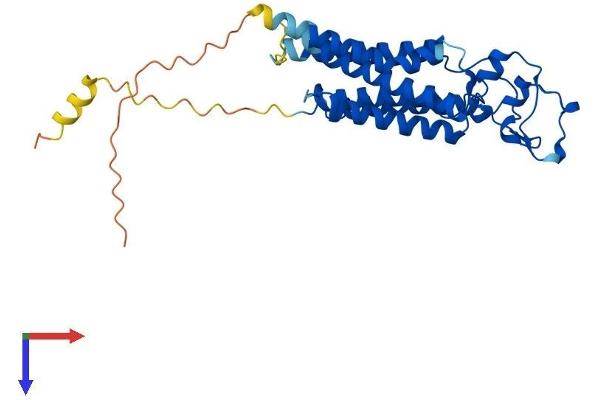 PPAP2B Protein (AA 1-312) (His tag)