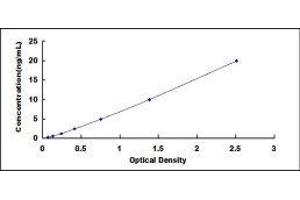 Typical standard curve (ENO1 ELISA 试剂盒)