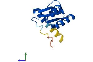 Protein Structure (PS) image for Ribosomal Protein L30 (RPL30) (AA 1-115) protein (His tag) (ABIN7556625)
