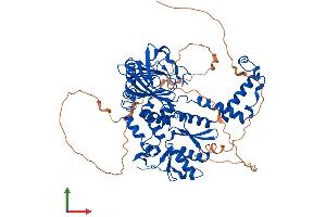 Protein Structure (PS) image for Chromosome 14 Open Reading Frame 169 (C14orf169) (AA 1-641) protein (His tag) (ABIN7554757)