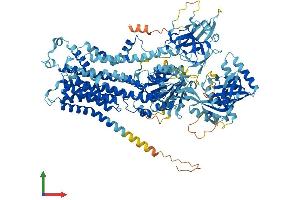 Protein Structure (PS) image for ATPase, class VI, type 11C (ATP11C) (AA 1-1129) protein (His tag) (ABIN7565171)