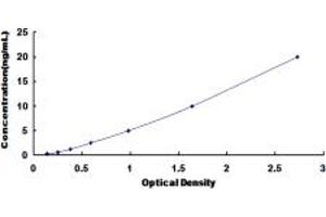 Typical standard curve (Myosin VIIB ELISA 试剂盒)