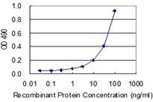 Sandwich ELISA detection sensitivity ranging from 3 ng/mL to 100 ng/mL. (IRF2 (人) Matched Antibody Pair)