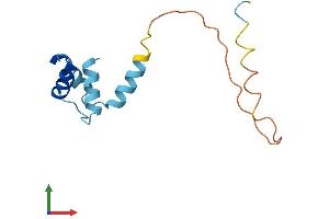 Protein Structure (PS) image for Ribosomal Protein, Large, P2 (RPLP2) (AA 1-115) protein (His tag) (ABIN7556845)