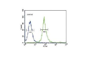 SNAI Antibody  flow cytometric analysis of 293 cells (right histogram) compared to a negative control cell (left histogram). (SNAI 抗体)