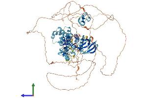 Protein Structure (PS) image for Kinase Suppressor of Ras 1 (KSR1) (AA 1-923) protein (His tag) (ABIN7554388)