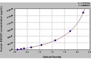 Typical Standard Curve (RNF207 ELISA 试剂盒)
