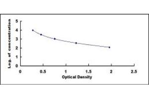 Image no. 1 for Insulin (INS) ELISA Kit (ABIN1873328)