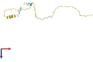 C20orf149 Protein (AA 1-115) (His tag)