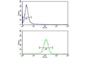 UHRF1 antibody flow cytometry analysis of HeLa cells (green) compared to a negative control (blue). (UHRF1 抗体  (AA 229-257))