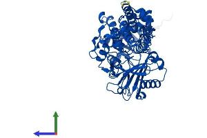 AlphaFold protein structure predicition of Mouse Recombinant Maoa Protein, UniprotID Q64133 (Monoamine Oxidase A Protein (MAOA) (AA 1-526) (His tag))