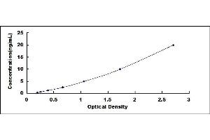 Typical standard curve (MARCKSL1 ELISA 试剂盒)