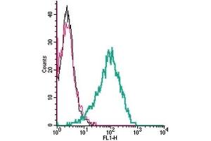 Cell surface detection of TRPC6 by indirect flow cytometry in live intact human MEG-01 megakaryocytic leukemia cells:  (black line) Cells.