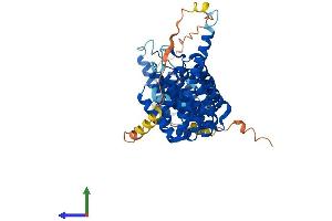 Protein Structure (PS) image for Protein Phosphatase 2, Regulatory Subunit B', gamma (PPP2R5C) (AA 1-524) protein (His tag) (ABIN7551740)