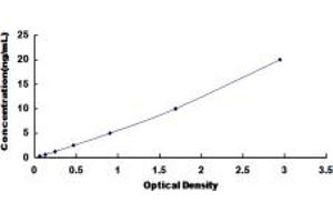 Typical standard curve (BMP8A ELISA 试剂盒)