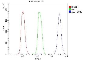 Flow Cytometry analysis of K562 cells using anti-ZEB1 antibody (ABIN7602984). (ZEB1 抗体  (Middle Region))