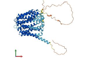 Protein Structure (PS) image for Solute Carrier Family 19, Member 3 (Slc19a3) (AA 1-496) protein (His tag) (ABIN7551706)