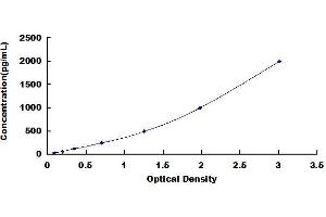 Typical standard curve (CXCR2 ELISA 试剂盒)