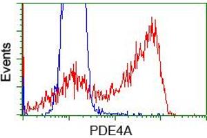 Image no. 1 for anti-phosphodiesterase 4A, CAMP-Specific (PDE4A) antibody (ABIN1500090) (PDE4A 抗体)