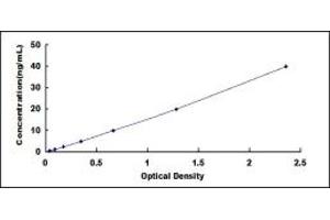 Typical standard curve (S1PR3 ELISA 试剂盒)