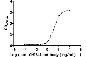 Measured by its binding ability in a functional ELISA.