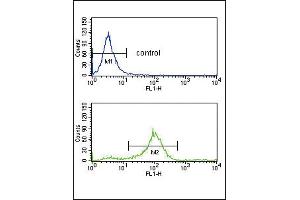 SFRP1 Antibody (N-term) (ABIN652980 and ABIN2842622) flow cytometry analysis of K562 cells (bottom histogram) compared to a negative control cell (top histogram). (SFRP1 抗体  (N-Term))