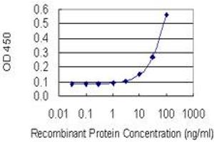 Detection limit for recombinant GST tagged EN2 is 3 ng/ml as a capture antibody. (EN2 抗体  (AA 86-210))