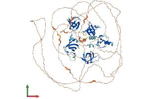 Protein Structure (PS) image for SH3 Domain Containing Ring Finger 1 (SH3RF1) (AA 1-888) protein (His tag) (ABIN7555462)