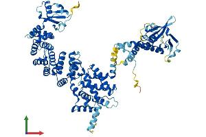 AlphaFold protein structure predicition of Human Recombinant ELMO3 Protein, UniprotID Q96BJ8