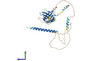 Protein Structure (PS) image for Ena-Vasodilator Stimulated Phosphoprotein (EVL) (AA 1-414) protein (His tag) (ABIN7556722)