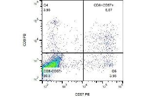 Surface staining of human peripheral blood with anti-human CD57 (TB01) PE. (CD57 抗体  (PE))