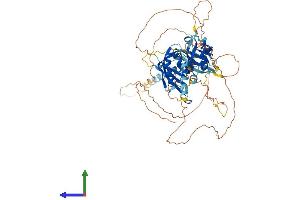Protein Structure (PS) image for Aryl Hydrocarbon Receptor Nuclear Translocator-Like 2 (ARNTL2) (AA 1-636) protein (His tag) (ABIN7552876)