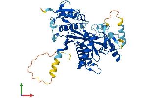 Protein Structure (PS) image for Tubulin tyrosine Ligase-Like Family, Member 1 (TTLL1) (AA 1-423) protein (His tag) (ABIN7559975)