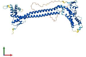 Protein Structure (PS) image for CDK5 Regulatory Subunit Associated Protein 3 (CDK5RAP3) (AA 1-506) protein (His tag) (ABIN7553328)
