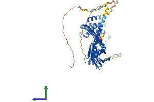Protein Structure (PS) image for Acyl-CoA Binding Domain Containing 3 (Acbd3) (AA 1-528) protein (His tag) (ABIN7547934)