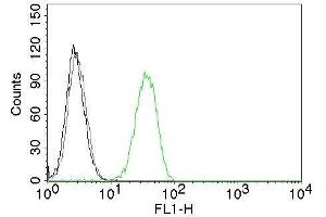 Flow Cytometry (FACS) image for anti-Platelet/endothelial Cell Adhesion Molecule (PECAM1) antibody (CF®488A) (ABIN6934733)