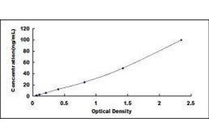Histone Deacetylase 2 (HDAC2) ELISA Kit