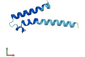 AlphaFold protein structure predicition of Human Recombinant PIGY Protein, UniprotID Q3MUY2