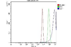 Flow Cytometry analysis of U87 cells using anti-XAF1 antibody (ABIN7600450).