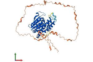 Protein Structure (PS) image for Family with Sequence Similarity 113, Member A (FAM113A) (AA 1-449) protein (His tag) (ABIN7557987)