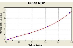 Diagramm of the ELISA kit to detect Human MBPwith the optical density on the x-axis and the concentration on the y-axis. (MBL2 ELISA 试剂盒)