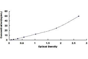 Typical standard curve (CAPN1 ELISA 试剂盒)