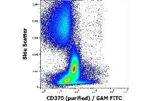 Flow cytometry surface staining pattern of human peripheral whole blood stained using anti-human CD370 (8F9) purified antibody (concentration in sample 1,67 μg/mL) GAM FITC. (CLEC9A 抗体)
