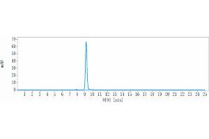 The purity of Anti-ENPP3 / CD203c Reference Antibody (Ags-16C3F) is more than 95 % , determined by SEC-HPLC. (Recombinant ENPP3 抗体)