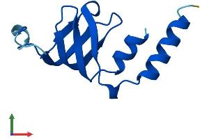 AlphaFold protein structure predicition of Human Recombinant LSM2 Protein, UniprotID Q9Y333