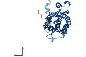 AlphaFold protein structure predicition of Mouse Recombinant Acer2 Protein, UniprotID Q8VD53