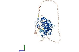 Protein Structure (PS) image for ST6 (Alpha-N-Acetyl-Neuraminyl-2,3-beta-Galactosyl-1,3)-N-Acetylgalactosaminide alpha-2,6-Sialyltransferase 1 (ST6GALNAC1) (AA 1-526) protein (His tag) (ABIN7561813)