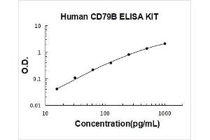 Typical Standard Curve